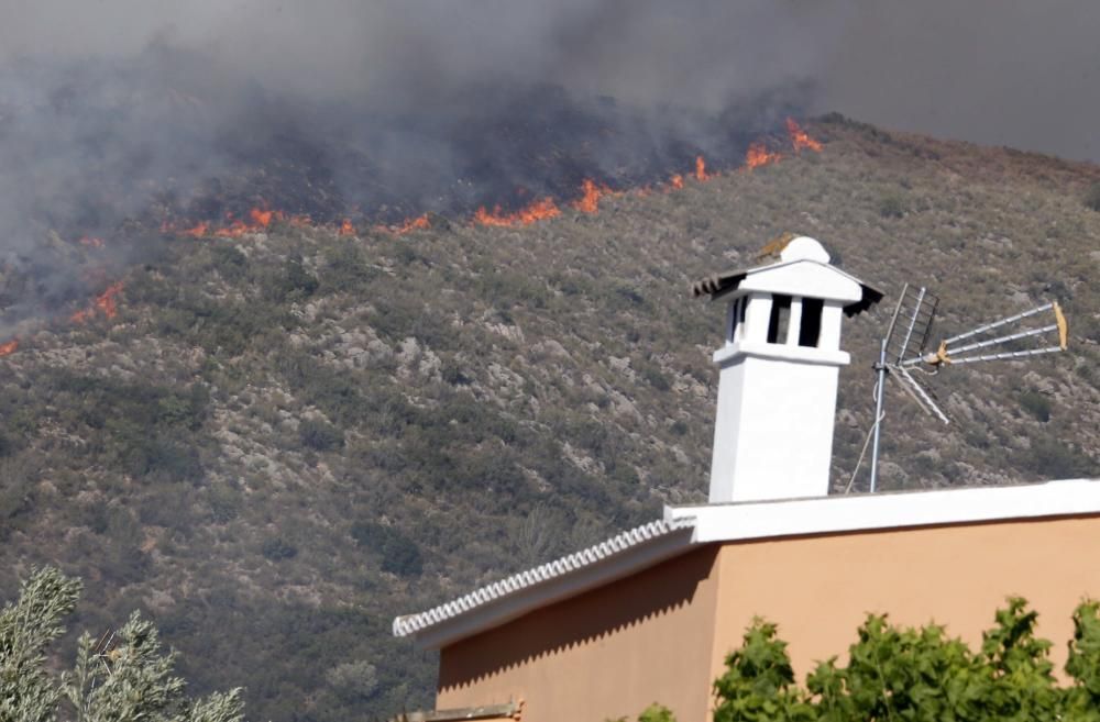 Incendio forestal en Carcaixent