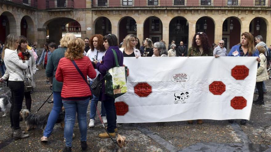 Concentración en la plaza Mayor de Gijón contra el envenenamiento de perros