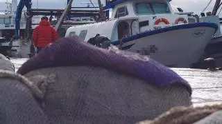 Pescadors retornen al mar de Llançà corals i esponges rescatades de les seves xarxes