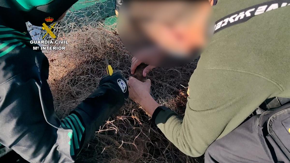 El amasijo de finos hilos de nailon de la red de pesca &quot;fantasma&quot;