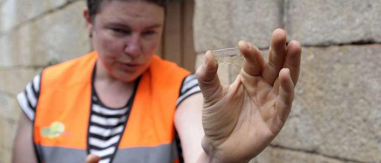 Elena Taboada muestra un vidrio historiado con peces hallado en Lalín de Arriba. // Bernabé/Javier Lalín