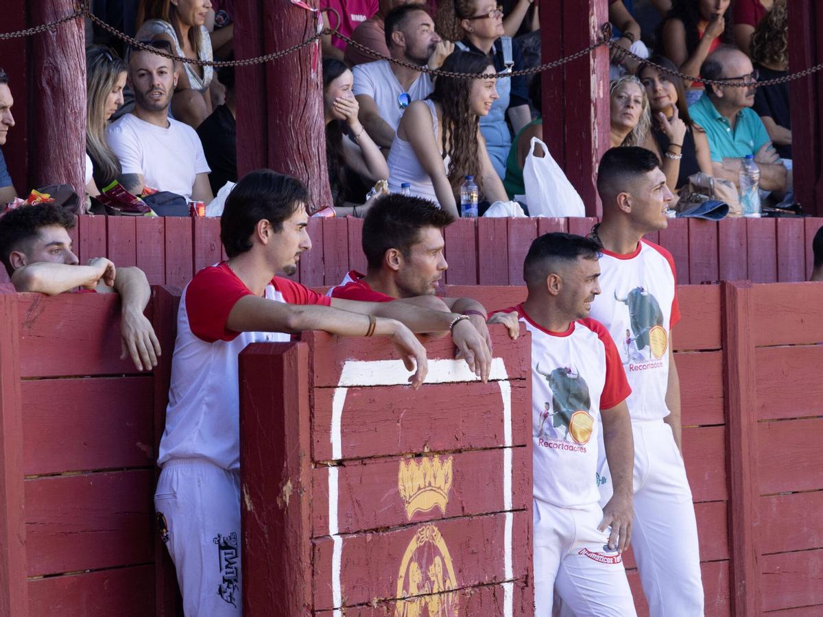 Concurso de cortes, Toro 2026