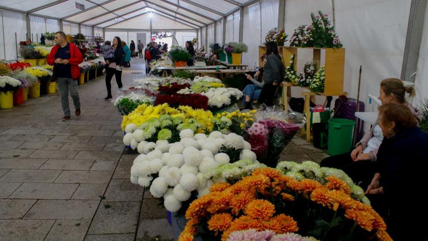 Las flores de Difuntos, un espectáculo visual en Cambados y Vilagarcía