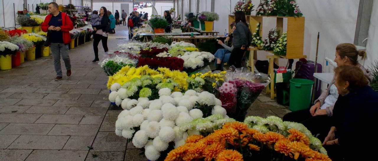 Los precios de las flores de Difuntos y Todos los Santos han aumentado por  la inflación