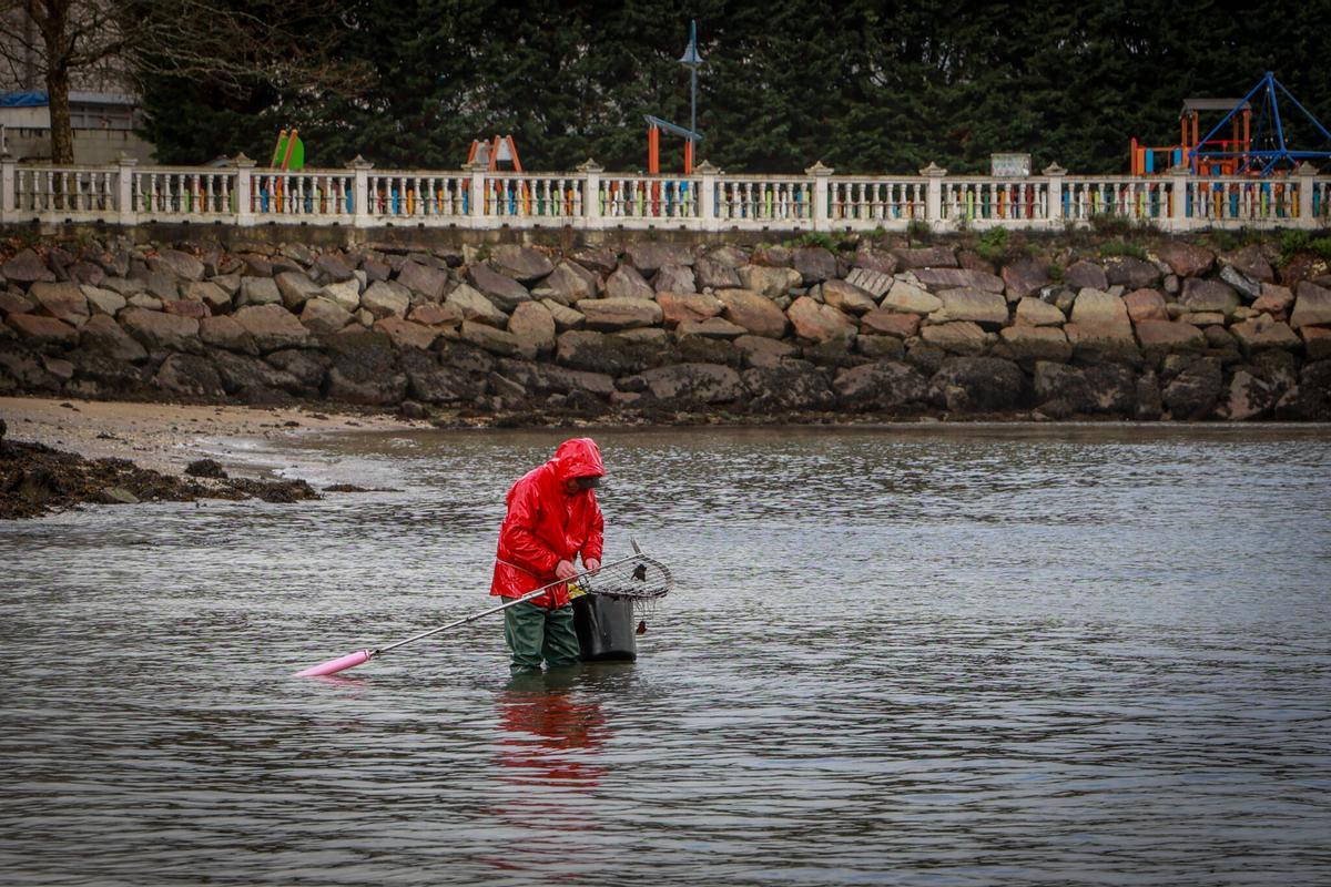 Una mariscadora en O Preguntoiro (Vilaxoán).