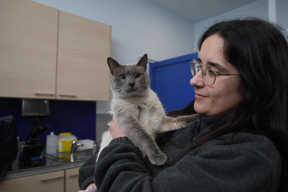 El gato de Cambados con su veterinaria y nueva dueña.