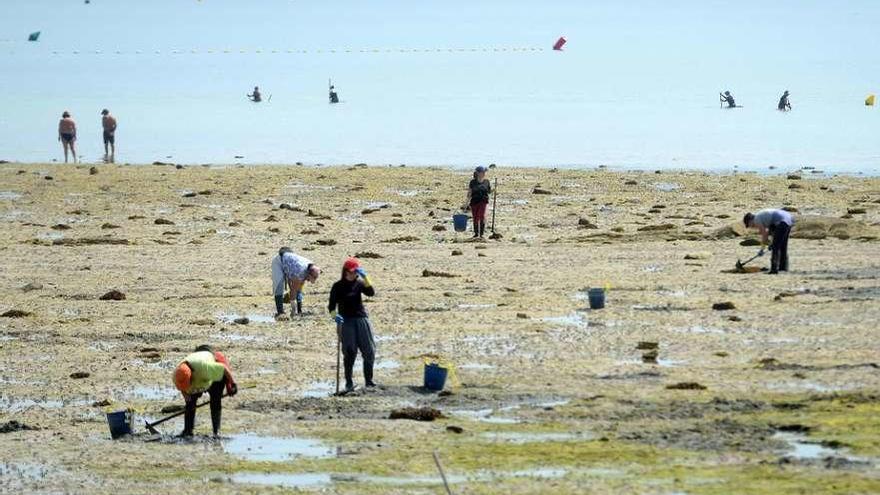 Mariscadoras de A Illa de Arousa trabajando en una playa del municipio. // Iñaki Abella