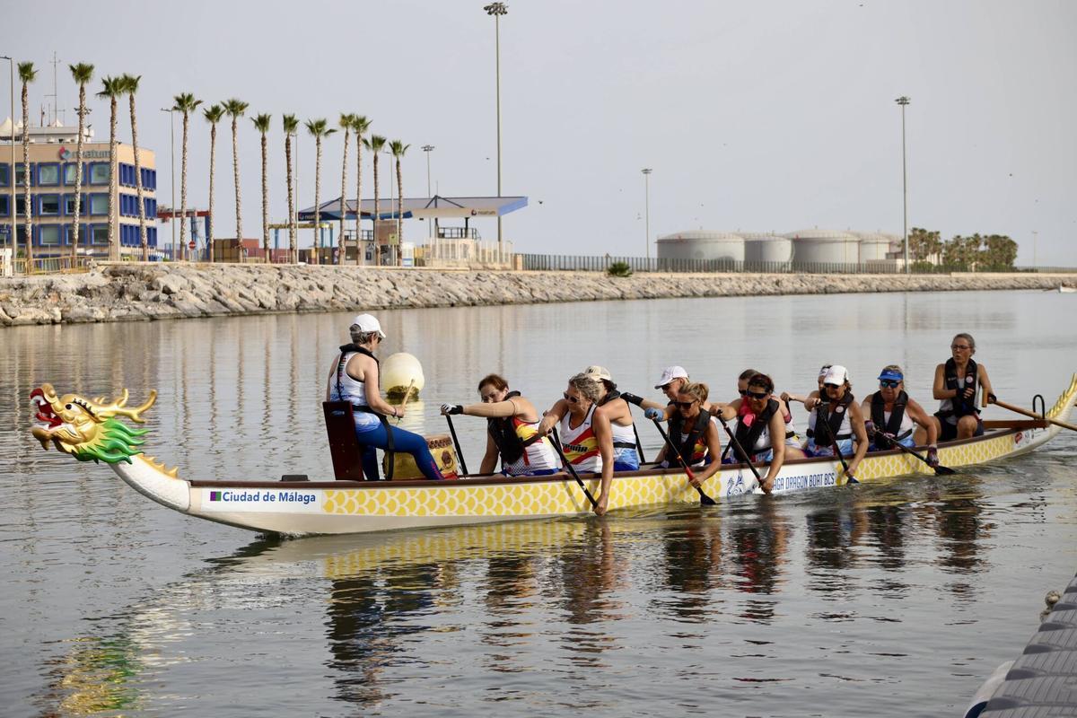 MLG 22-07-2026.-La Asociación española de Boat Dragón, formada por mujeres supervivientes de cáncer de mama, entrenan cada tarde en el pantalán ubicado en el puerto de la ciudad y donde han sido subcampeonas en Múnich.