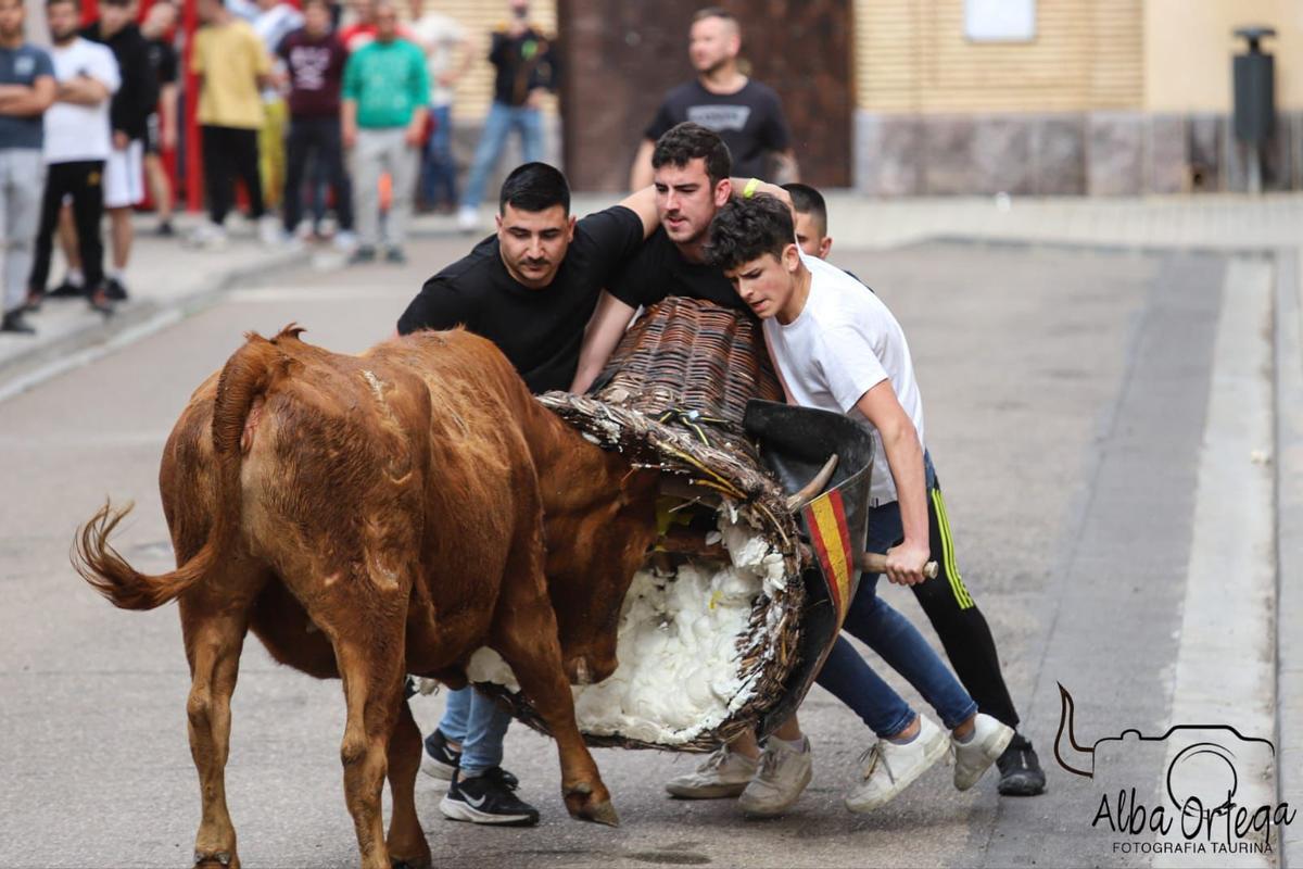 Los roscaderos son uno de los espectáculos taurinos que más gustan en Aragón