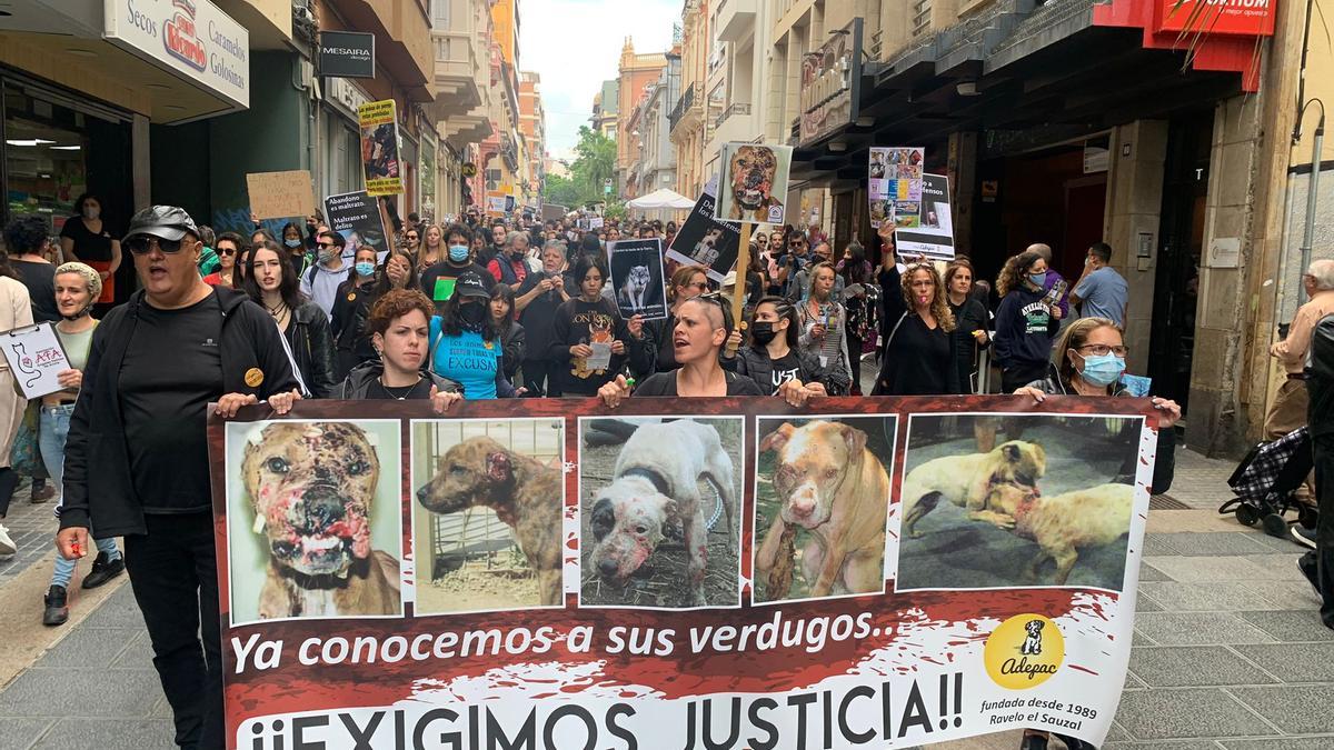 Protestas en Santa Cruz contra el acuerdo judicial que evitará la cárcel a los miembros de la red de peleas de perros