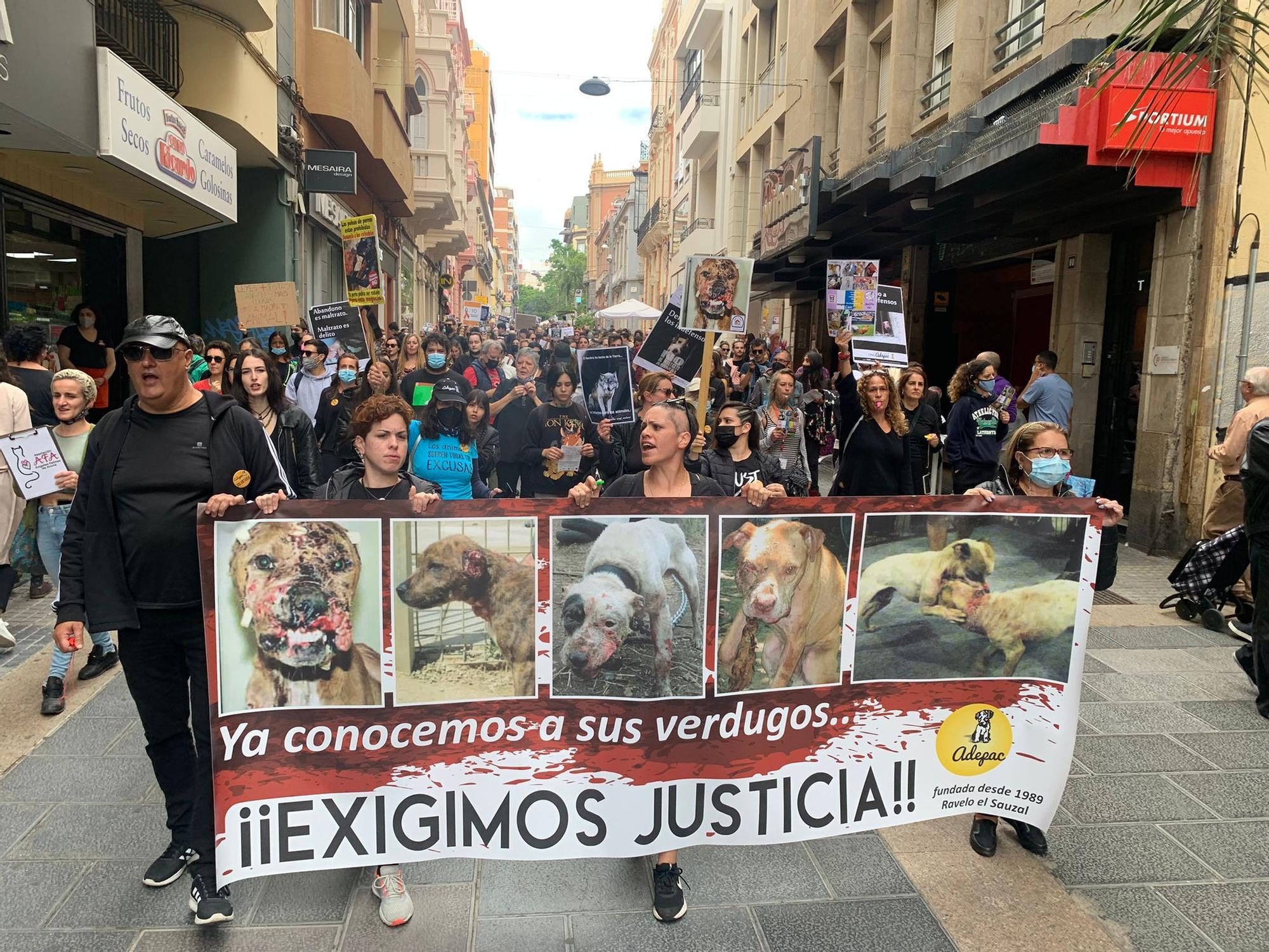 Manifestación contra el acuerdo judicial que evitará que los integrantes de la red de peleas de perros entren en prisión.
