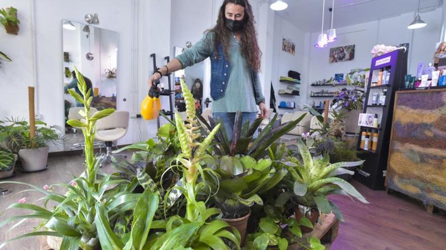 Jardín botánico dentro de la peluquería Xerach