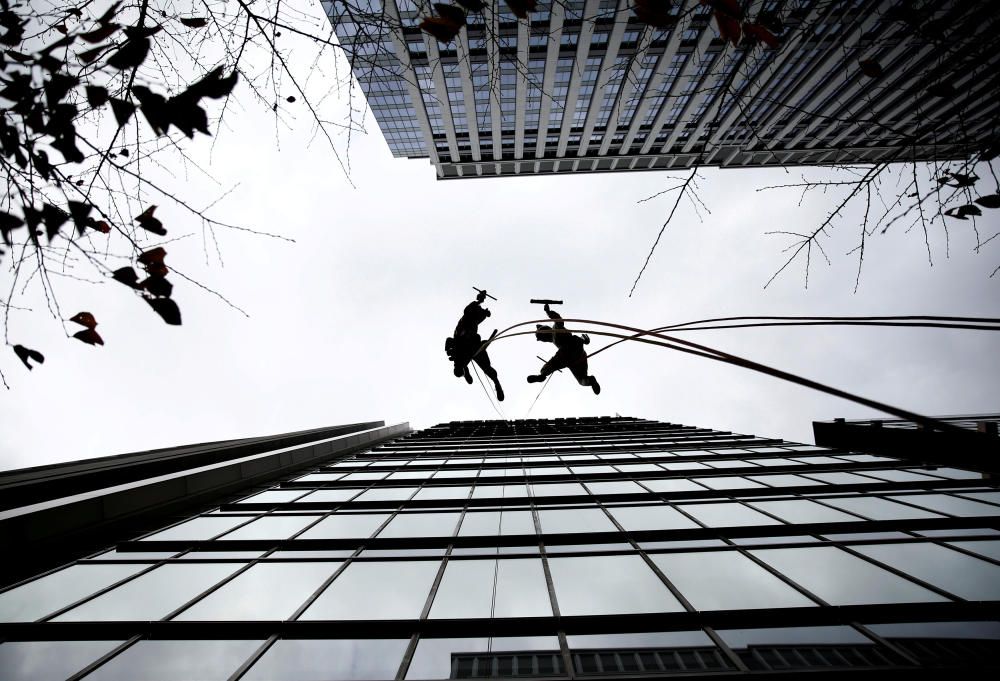 Window cleaners, dressed as a dog (R) and wild ...