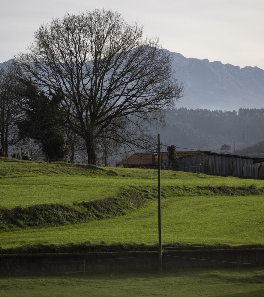 Las Regueras, otra joya verde entre ciudades