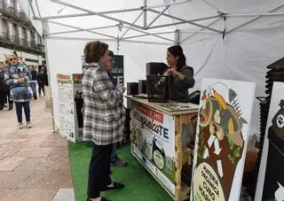 Comenzaron ayer las nuevas frecuencias de recogida de los biorresiduos en el concejo de Oviedo