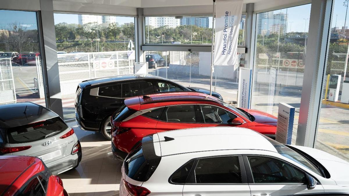 Cada modelo está seleccionado de forma precisa para garantizar una buena experiencia al cliente
