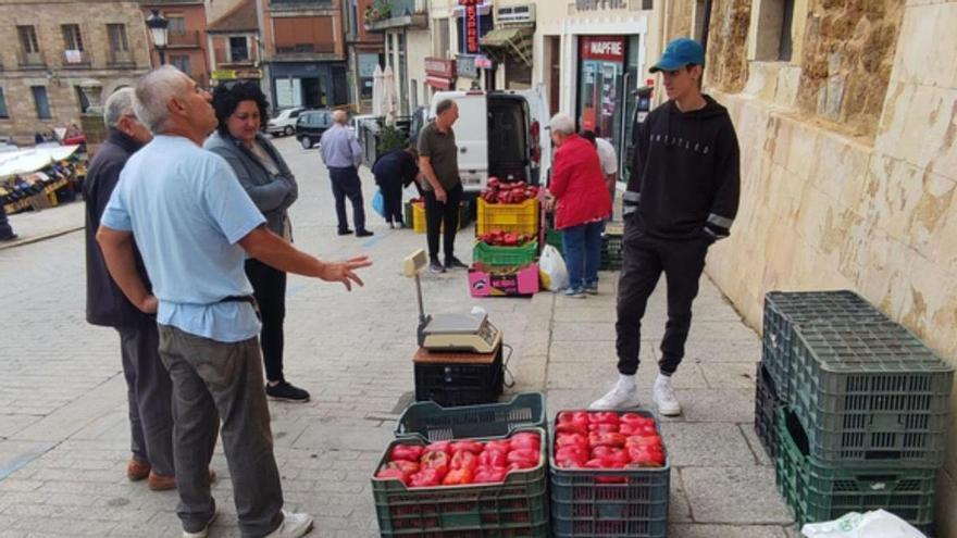 La campaña de la huerta del Tera, “para olvidar”