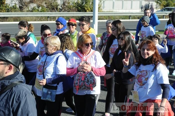 Carrera Benéfica de Astrade - Senderistas (II)