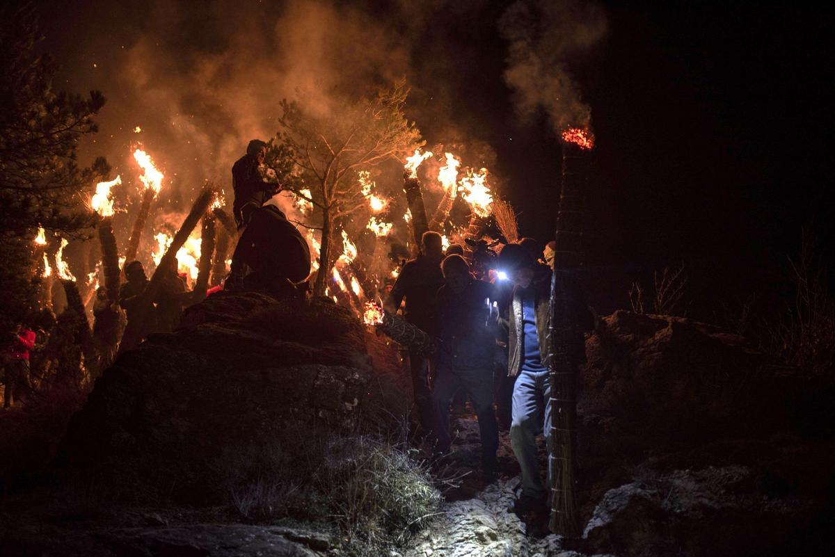Baixada de faies des de la muntanya del Siti, a Bagà