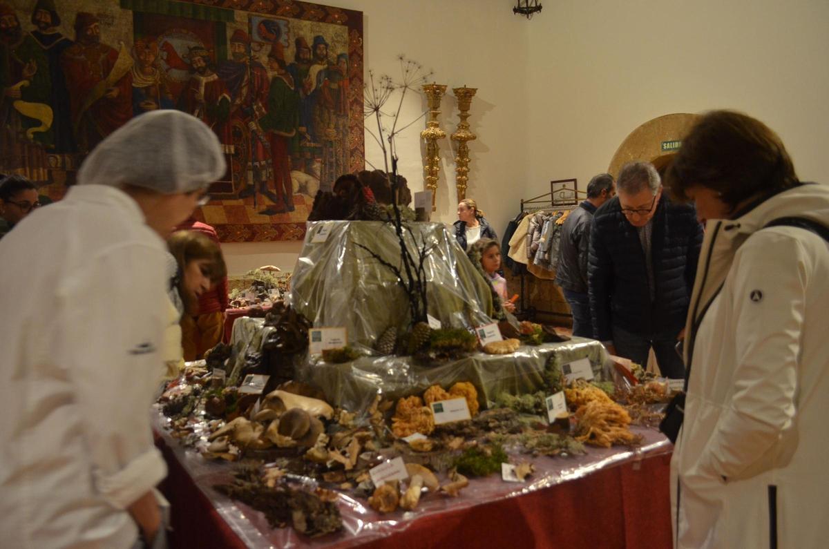 La Exposición Micológica de Benavente, en imágenes