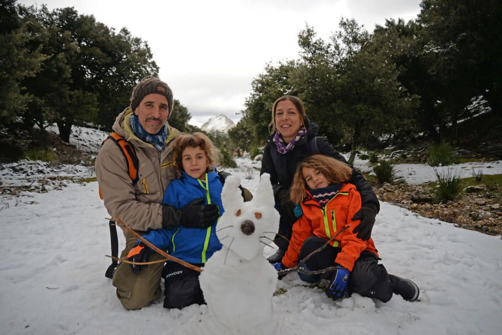 Am Freitag (2.2.) hat es in den Höhenlagen von Mallorca geschneit - die weiße Pracht war am Samstag weithin sichtbar und Attraktion für kleine und große Ausflügler.