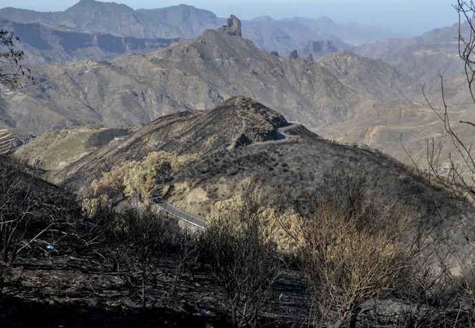 27/09/2017 CUMBRE DE GRAN CANARIA. Consejero del Gobierno de Canarias Morales del incendio. FOTO: J. PÉREZ CURBELO