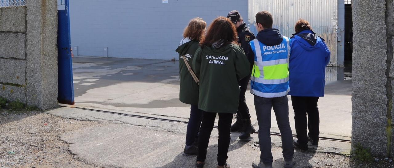 Imagen de archivo de un registro policial efectuado en depuradoras de moluscos arousanas.