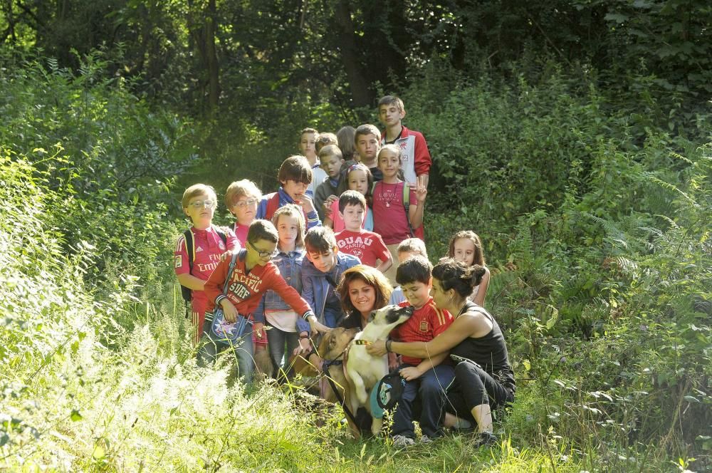 Visita de escolares a la protectora 'El Trasgu' en Mieres