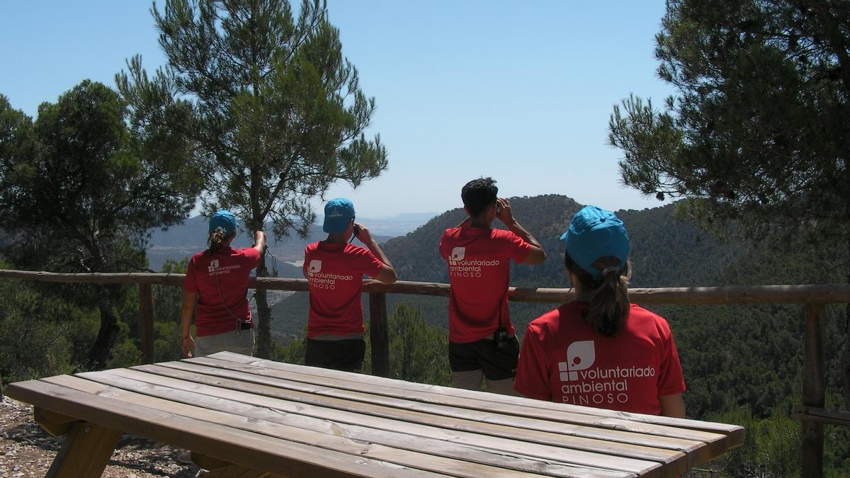 Los voluntarios de Pinoso realizando vigilancias móviles en el monte Coto para prevenir incendios forestales.