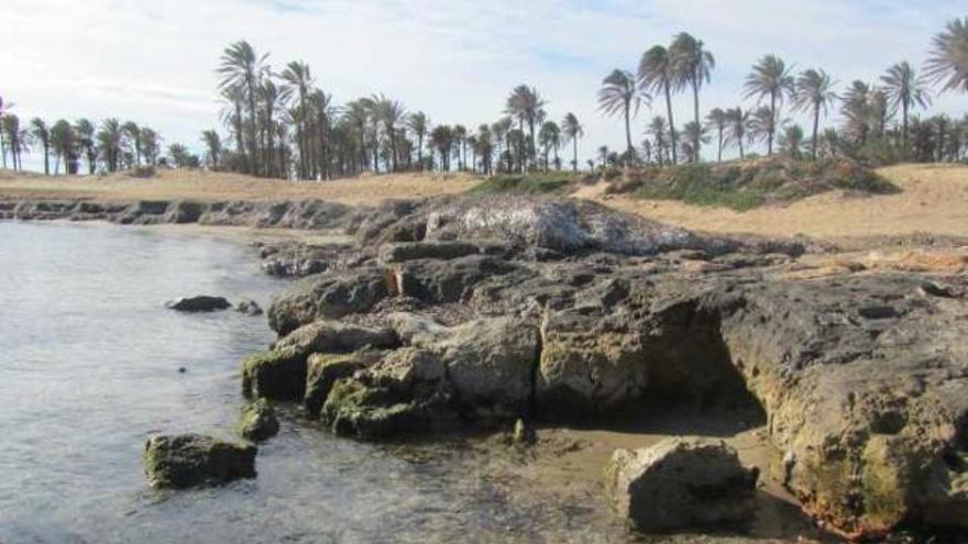 Medio Ambiente plantea adecuar el paraje de Ferrís para uso público