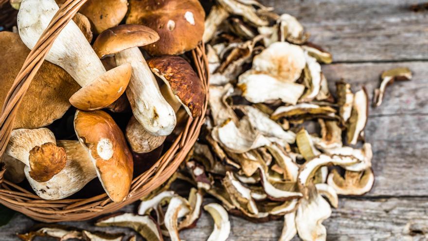 Carpaccio de boletus