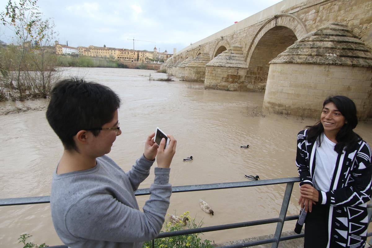 La lluvia en Córdoba deja una decena de incidencias