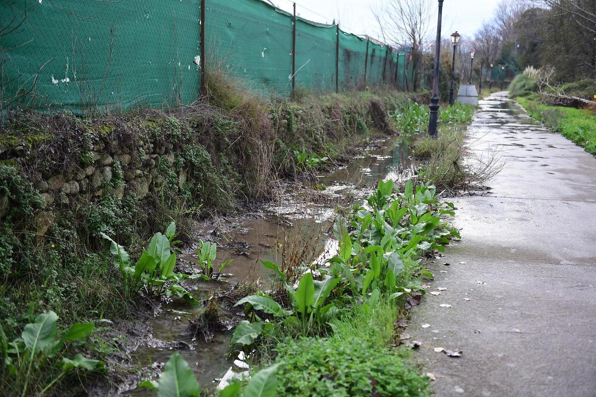 FOTOGALERÍA | Aguas fecales en uno de los paseos del río de Plasencia