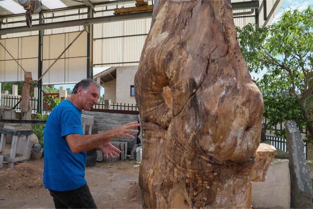 Así es el territorio de artista de Francisco Pazos