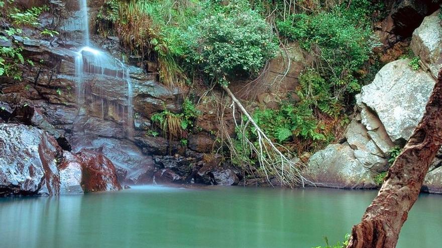 Conoce el pequeño &#039;Amazonas&#039; andaluz, en el corazón del alcornocal mejor conservado de Europa