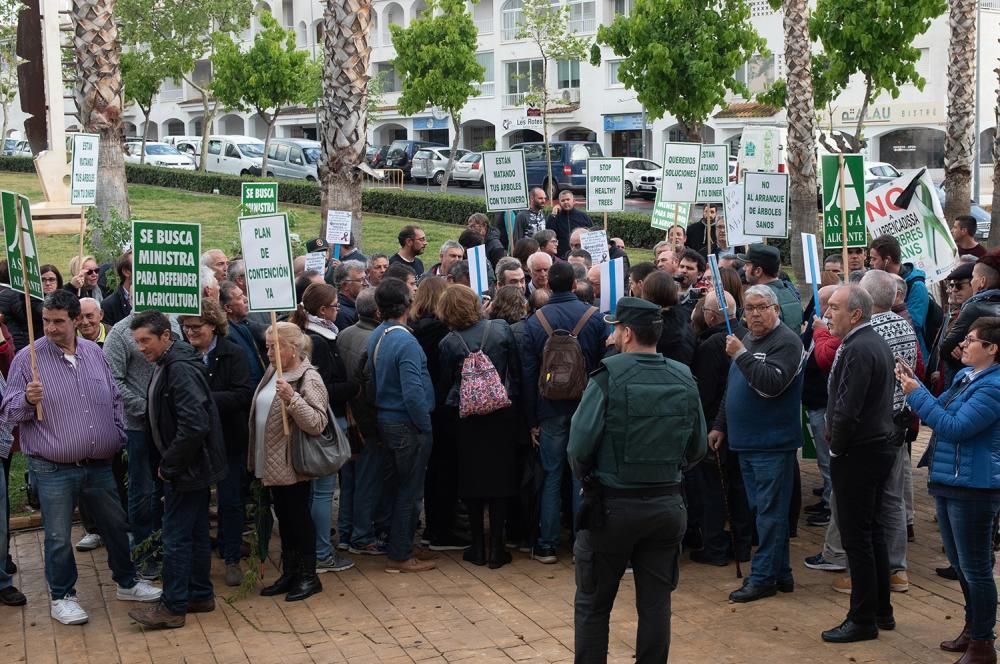 Manifestación por la Xylella en Altea