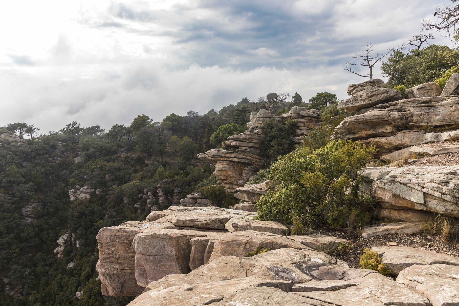 Parque natural de la Sierra Calderona