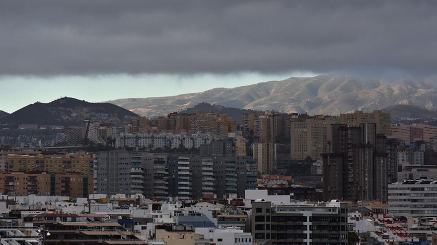 El tiempo para el jueves en Canarias: se espera subida de temperaturas. En la imagen, panza de burro en Las Canteras.