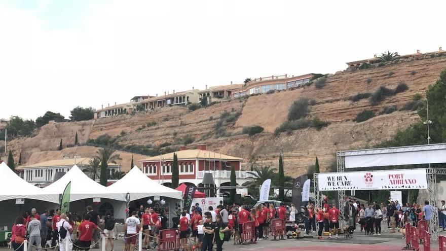 Großer Andrang beim &quot;Doggie Race&quot; in Port Adriano