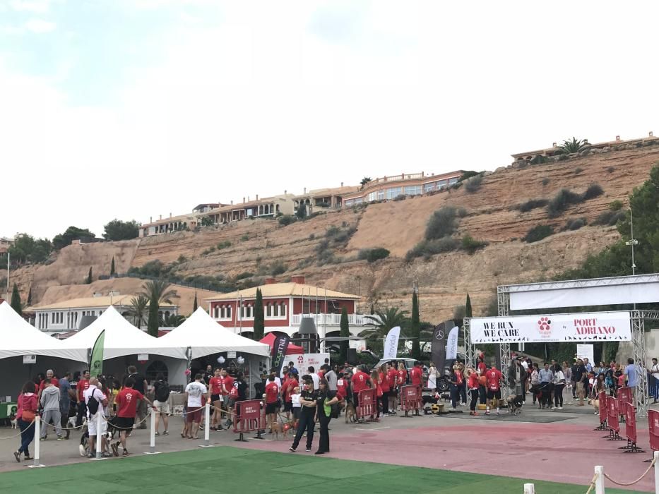 Das Hunderennen "Doggie Race" in Port Adriano