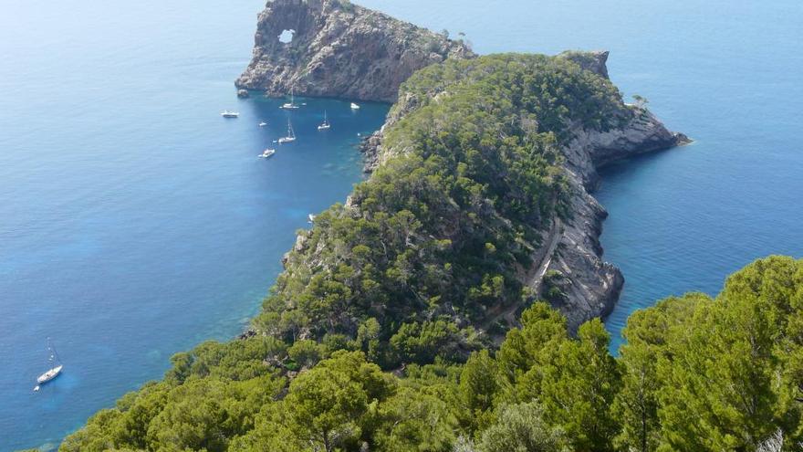 ONG y científicos piden a Pesca la protección como reserva marina del litoral de Tramuntana en Mallorca