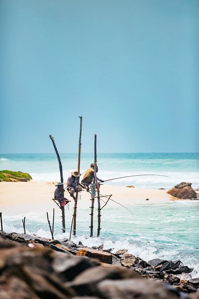 Pesca sobre zancos Sri Lanka