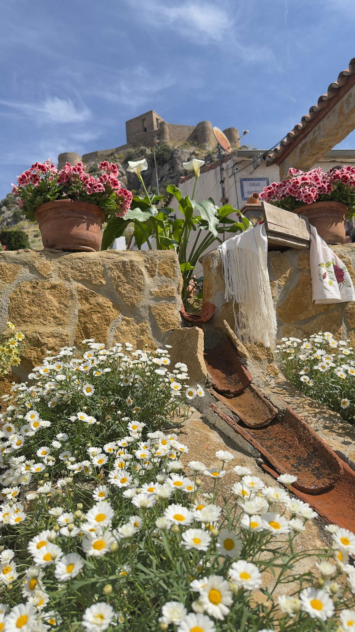 La Diputación da a conocer los ganadores del Concurso de Patios, Rejas y Rincones de la provincia