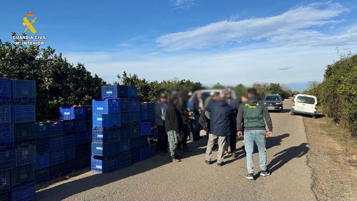 Inspección realizada por la Guardia Civil en Benimuslem.