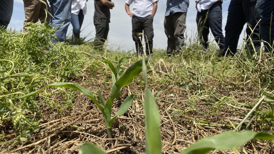Aragón es la tercera comunidad con más extranjeros afiliados al sector agrario, con un total de 22.129 personas