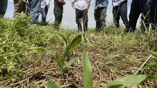 Aragón es la tercera comunidad con más extranjeros afiliados al sector agrario, con un total de 22.129 personas