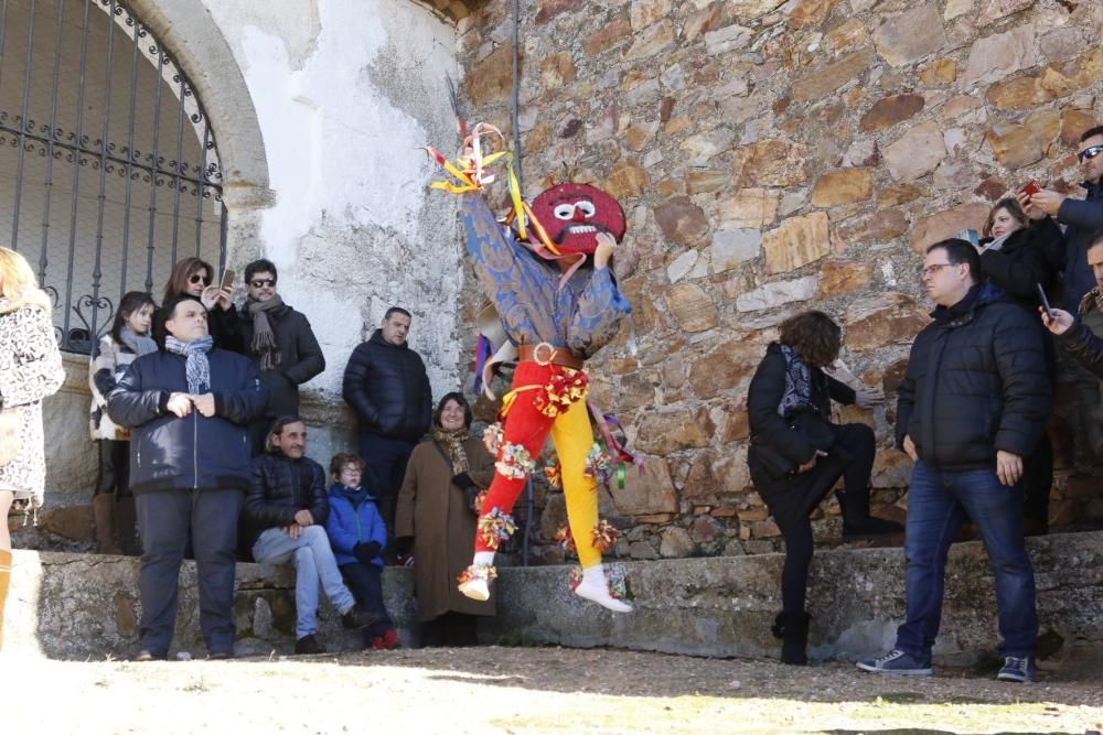 Zangarrón de Reyes 2019 en Montamarta