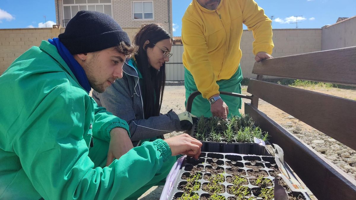 Alumnos del Programa de formación y empleo en La Bóveda de Toro