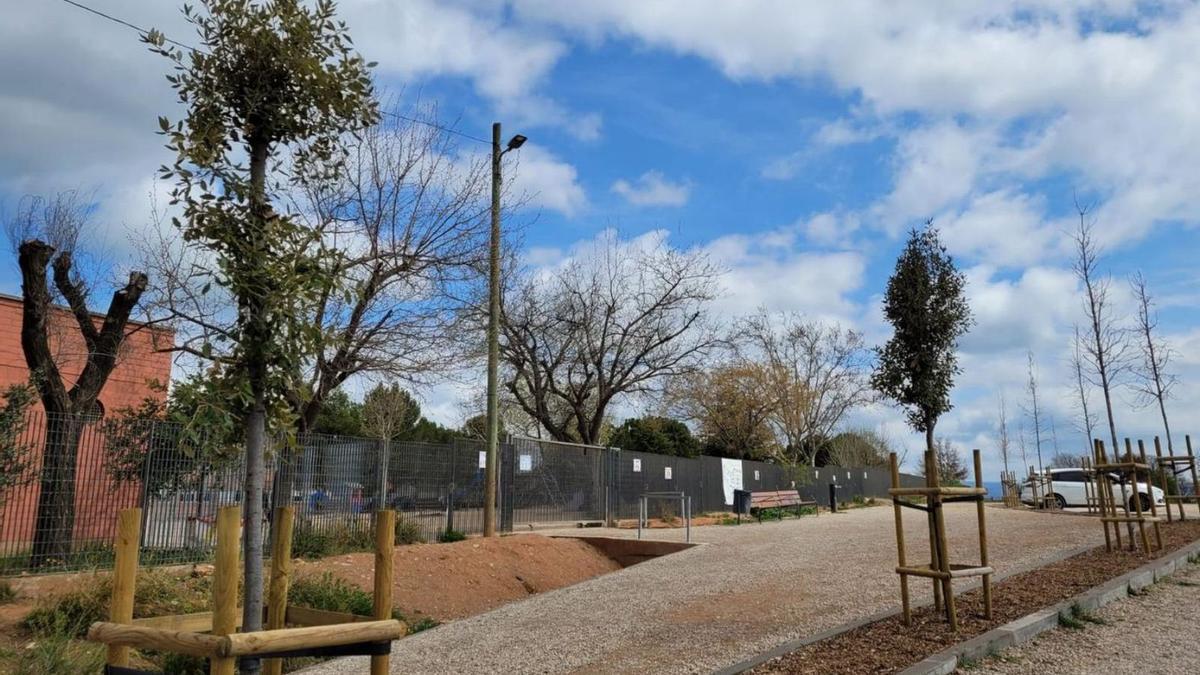 Arbres a l’entorn de l’escola Puigberenguer