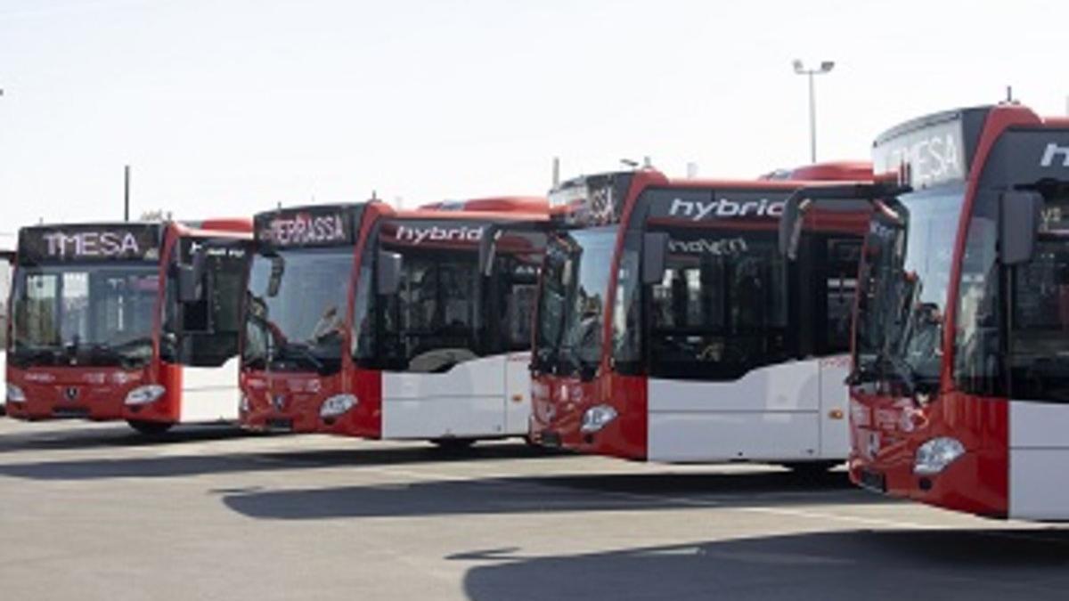 Grupo de  autobuses municipales de Terrassa aparcados.